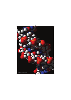 Image: Ude, Wikimedia Commons