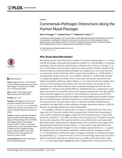 Commensal–Pathogen Interactions along the Human Nasal