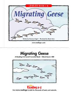 Migrating Geese Book