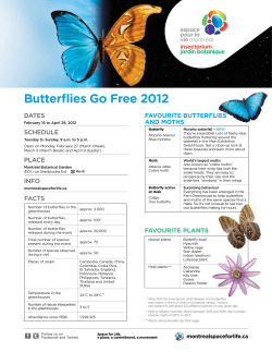 Butterflies Go Free 2012