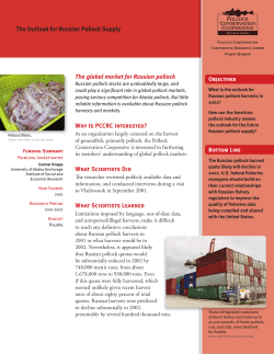 The Outlook for Russian Pollock Supply The global market for