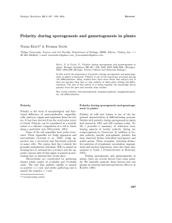 Polarity during sporogenesis and gametogenesis in plants