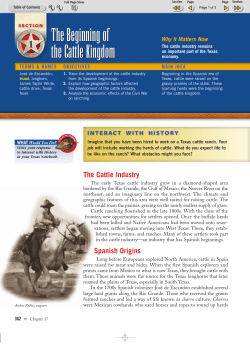 The Beginning of the Cattle Kingdom The Beginning of the Cattle