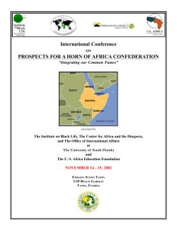 prospects for a horn of africa confederation