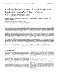 Blocking the Metabolism of Starch Breakdown Products in