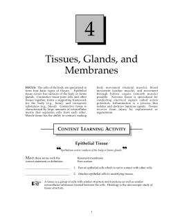 Tissues, Glands, and Membranes
