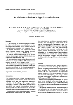 Arterial Catecholamines in Hypoxic Exercise in Man
