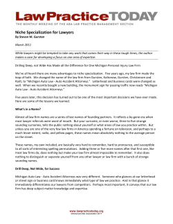 Niche Specialization for Lawyers