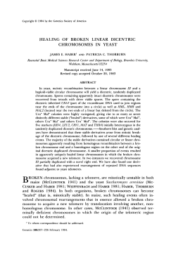 HEALING OF BROKEN LINEAR DICENTRIC CHROMOSOMES IN