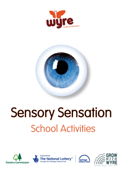 Sensory Sensation
