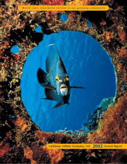 2002 Annual Report - Caribbean Utilities Company