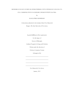 microbial ecology of deep-sea hydrothermal vents