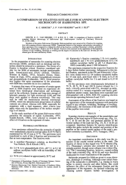 a comparison of fixatives suitable for scanning electron microscopy