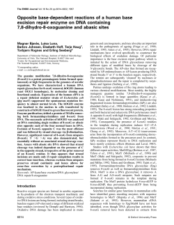 Opposite basedependent reactions of a human base excision repair