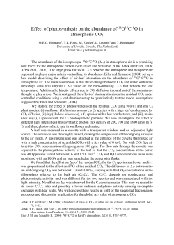 Effect of photosynthesis on the abundance of 18O13C16O in
