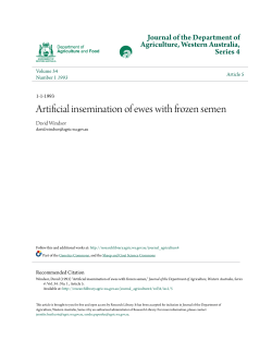Artificial insemination of ewes with frozen semen