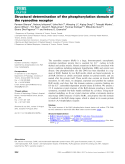 Structural determination of the phosphorylation