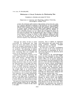 Mechanisms of Sound Production by Echolocating Bats