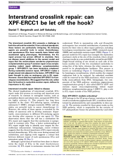 Interstrand crosslink repair: can XPF