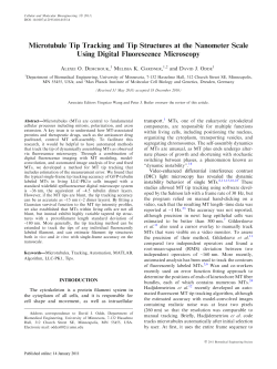 Microtubule Tip Tracking and Tip Structures at the Nanometer Scale
