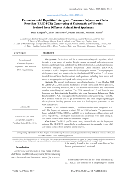 Enterobacterial Repetitive Intergenic Consensus Polymerase Chain