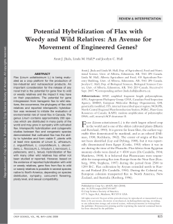 Potential hybridization of flax with wild and weedy species