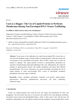 Coat as a Dagger: The Use of Capsid Proteins to Perforate