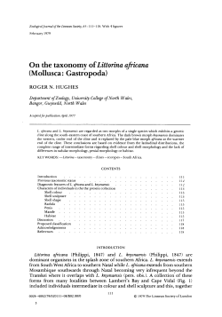 On the taxonomy of Littorina africana (Mollusca: Gastropoda)