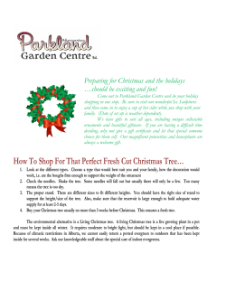 How To Shop For That Perfect Fresh Cut Christmas Tree&hellip;