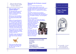 Spay Neuter Leaflet.pub - Bermuda Feline Assistance Bureau