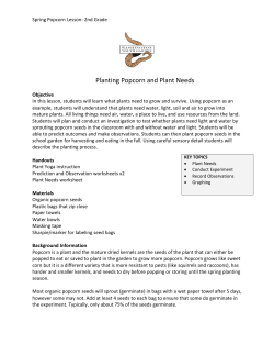 Planting Popcorn and Plant Needs