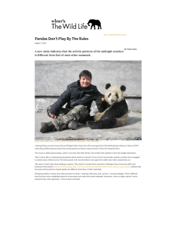 Pandas Don`t Play By The Rules