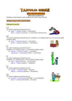 Mell&eacute;kn&eacute;vk&eacute;pz&eacute;s