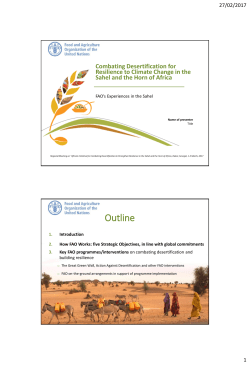 FAO`s Experiences in the Sahel (PDF/1.16MB)