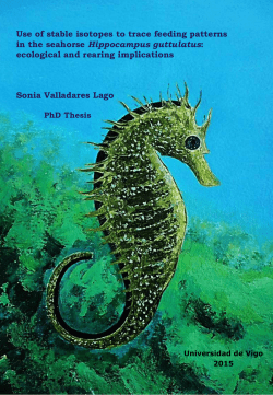 Use of stable isotopes to trace feeding patterns in the seahorse