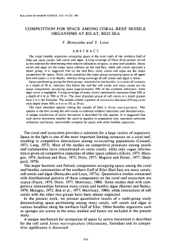 Competition for Space among Coral-Reef Sessile Organisms at Eilat