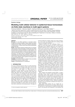 Modeling multi-cellular behavior in epidermal tissue homeostasis