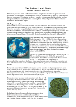 The Earliest Land Plants - Skeptical Swedish Scientists