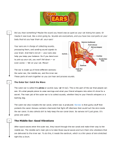 The Middle Ear: Good Vibrations