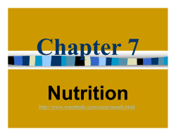 Chapter 7