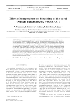 Full text in pdf format