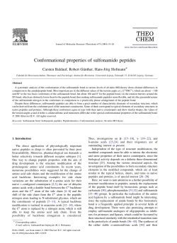 Conformational properties of sulfonamido peptides