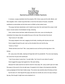 Stray by Cynthia Rylant