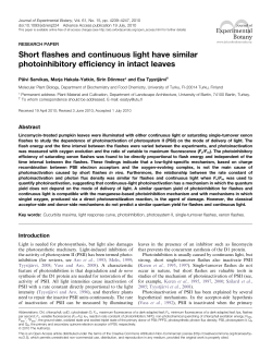 Short flashes and continuous light have similar photoinhibitory