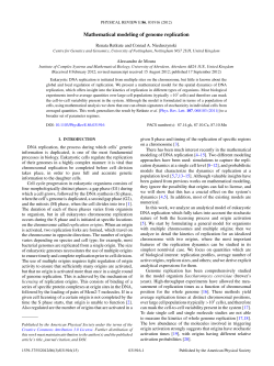Mathematical modeling of genome replication