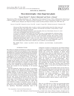Myco-heterotrophy: when fungi host plants