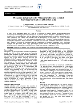 Phosphate Solubilization by Rhizosphere Bacteria Isolated from
