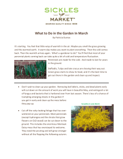 Garden Tips for March