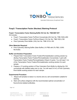 Foxp3 / Transcription Factor (Nuclear) Staining Protocol