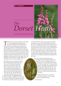 No 7 Spring 2016 Newsletter of the Dorset Flora Group